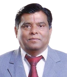 Team Member